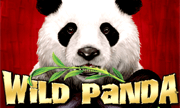 Wilder Panda