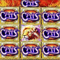 Sondersymbole und Bonusfunktionen