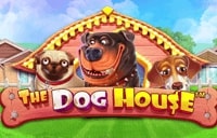 Das Hundehaus